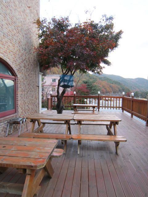 Motel Songwol Park à Sokcho Extérieur photo