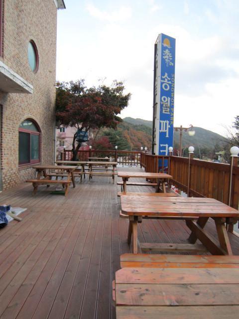 Motel Songwol Park à Sokcho Extérieur photo